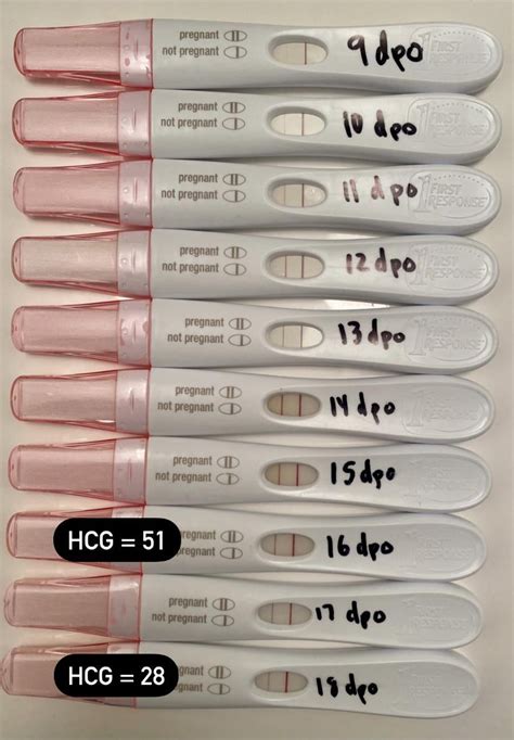 During early <strong>pregnancy</strong>, <strong>hCG levels</strong> typically double every two. . Chemical pregnancy hcg level reddit